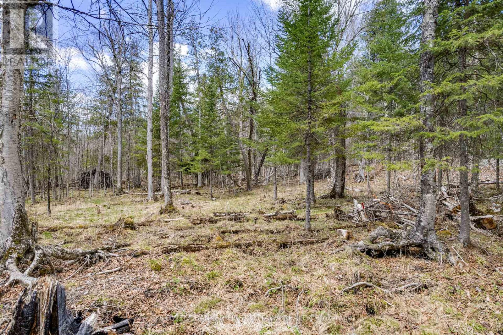 621 North Shore Rd Road Property Photo 19