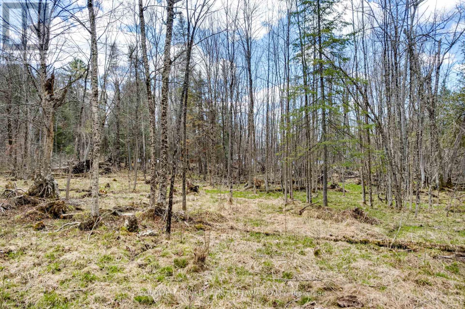621 North Shore Rd Road Property Photo 20