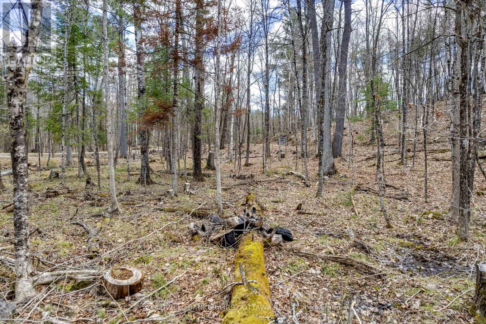 621 North Shore Rd Road Property Photo 21