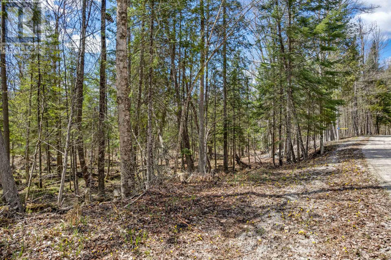 621 North Shore Rd Road Property Photo 24