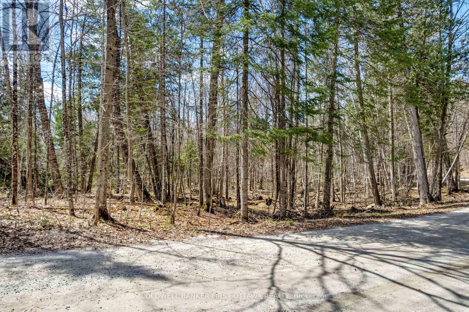 621 North Shore Rd Road Property Photo 26
