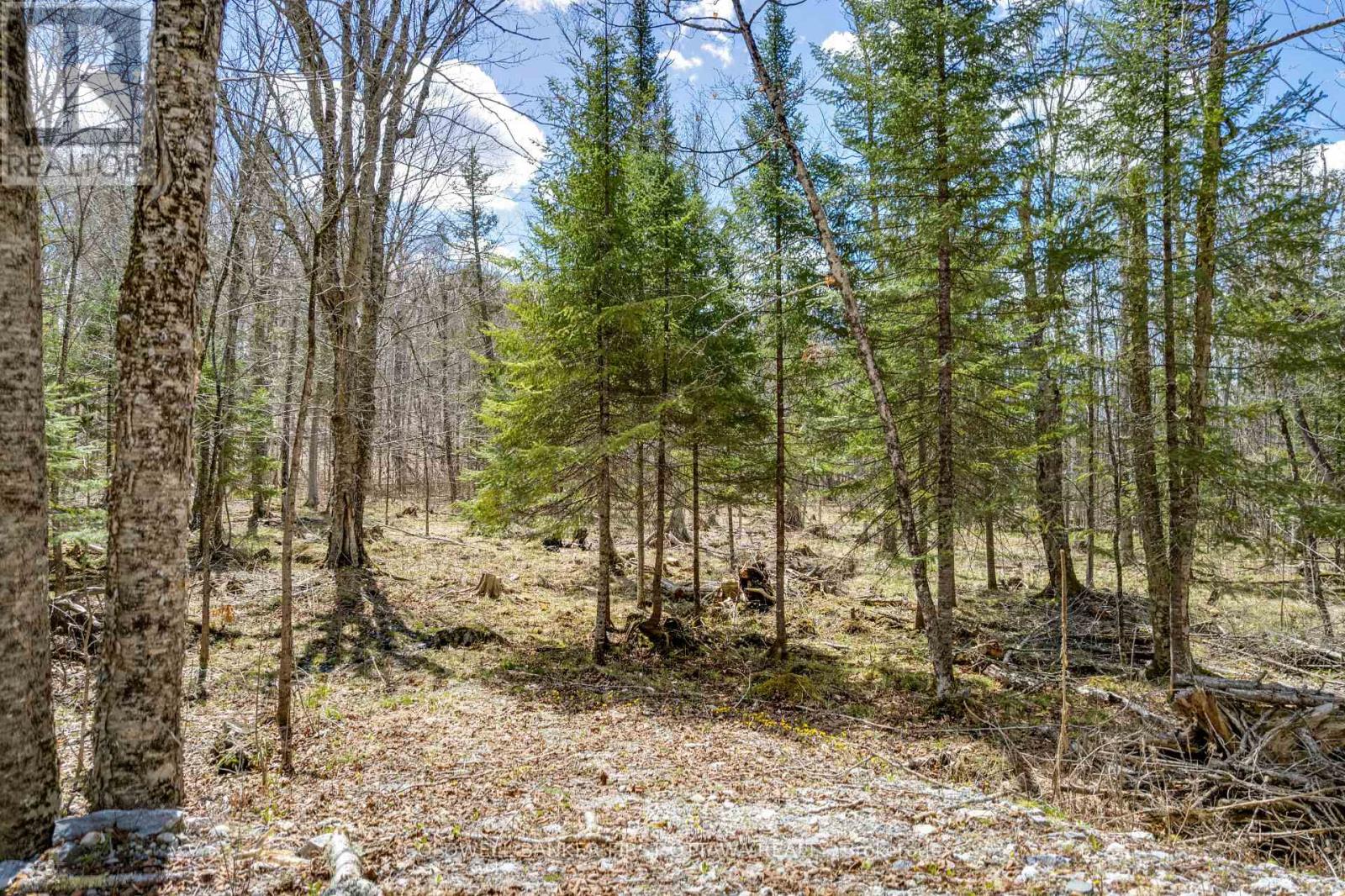 621 North Shore Rd Road Property Photo 27