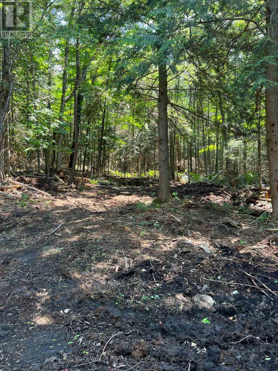 Lot 29 West Court Property Photo 1