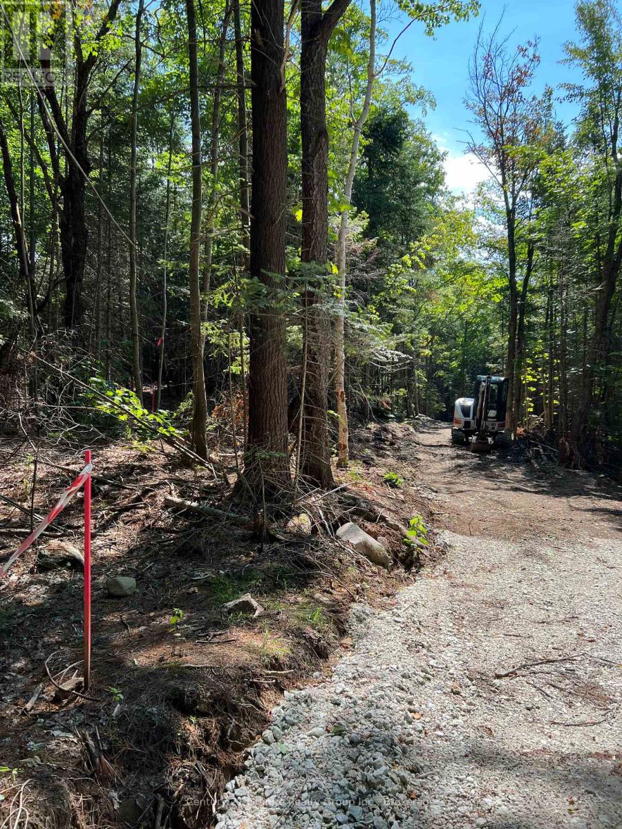 Lot 29 West Court Property Photo 2