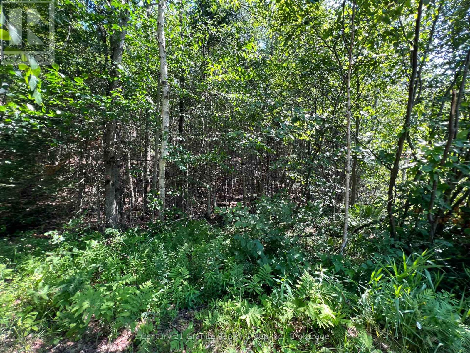 Lot 29 West Court Property Photo 3