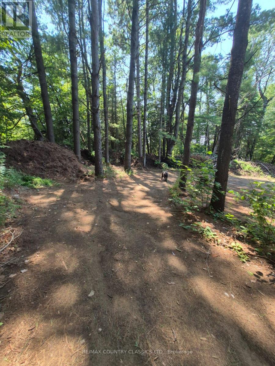 29840 62 Highway Property Photo 47