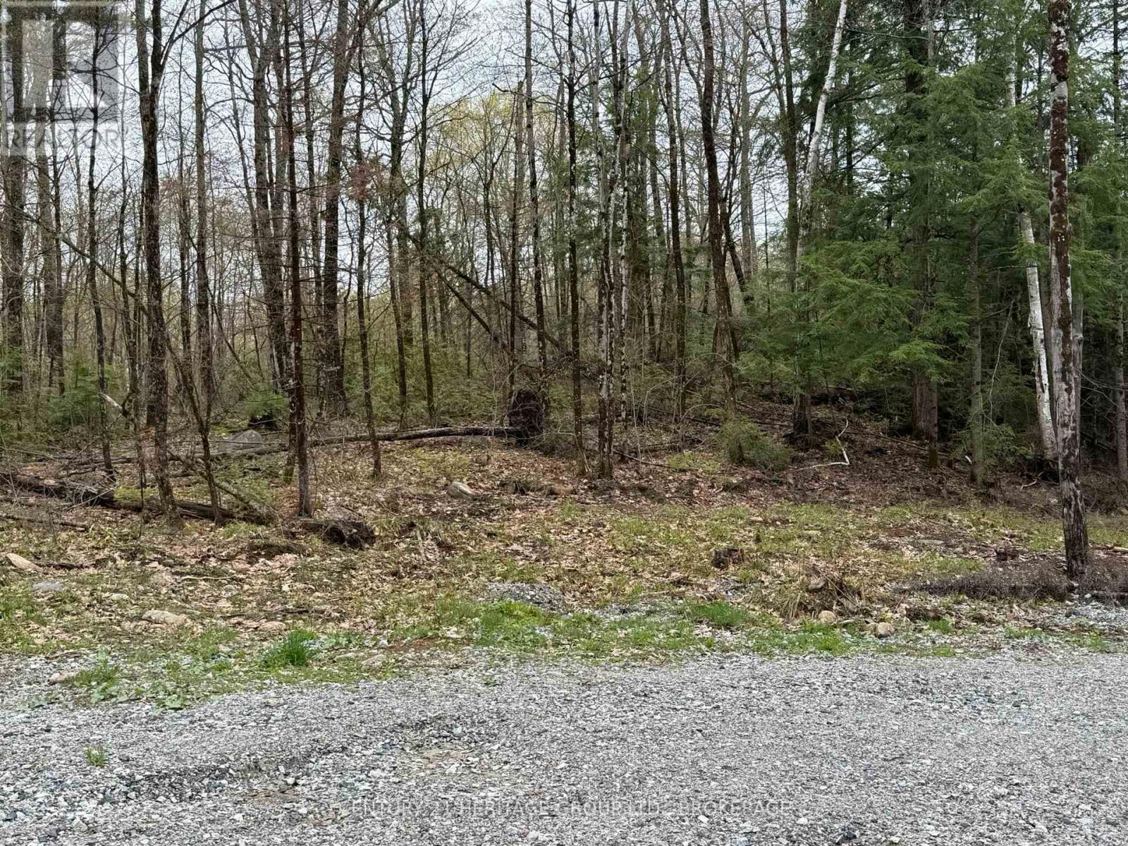 35 Maple View Court Property Photo 13