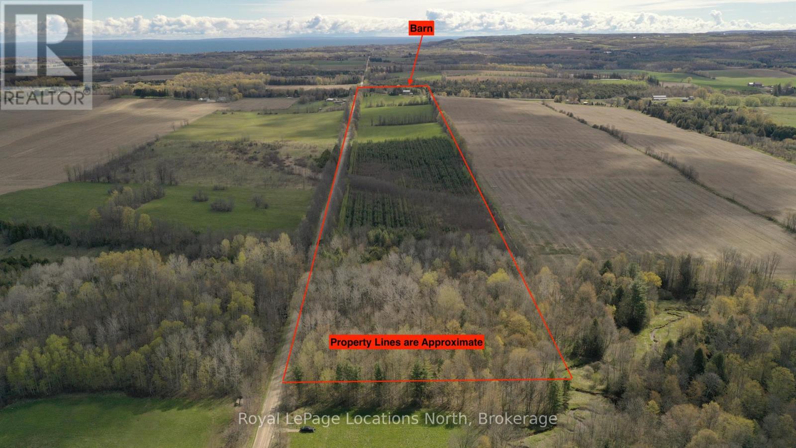 125552 13 Side Road Property Photo 6