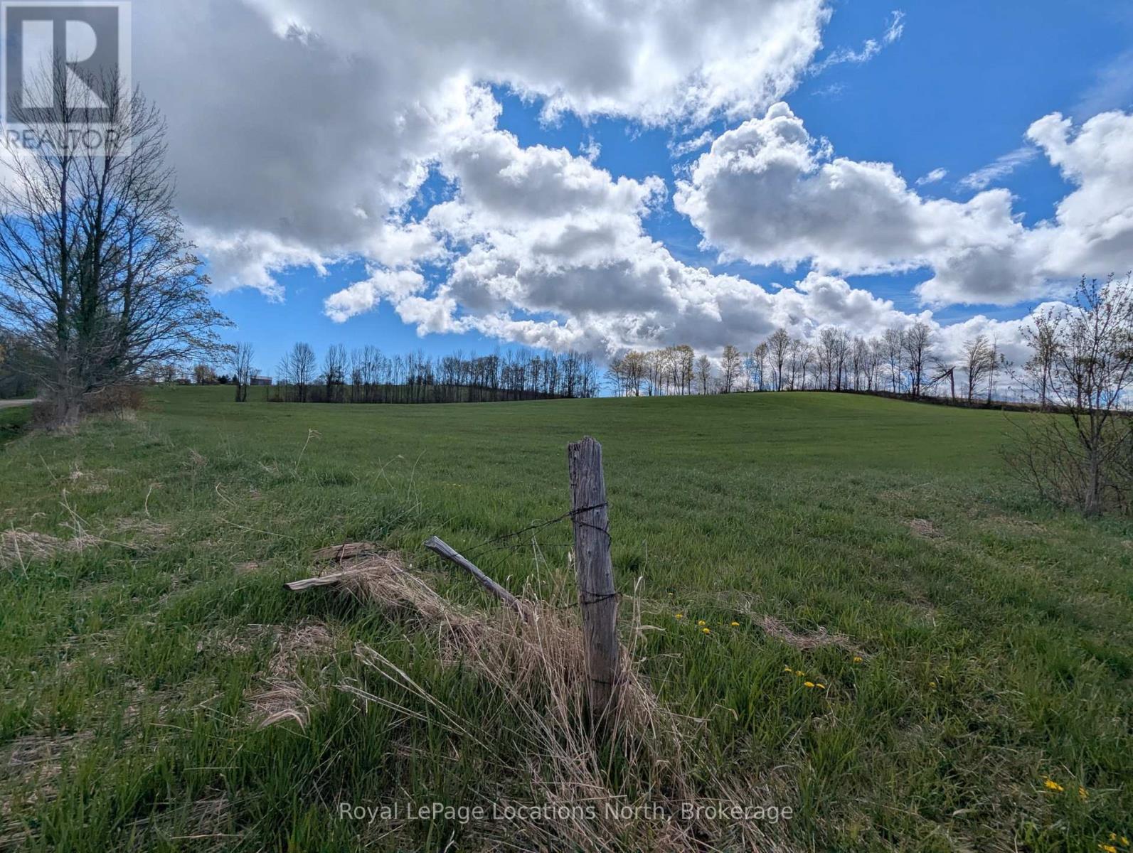 125552 13 Side Road Property Photo 46