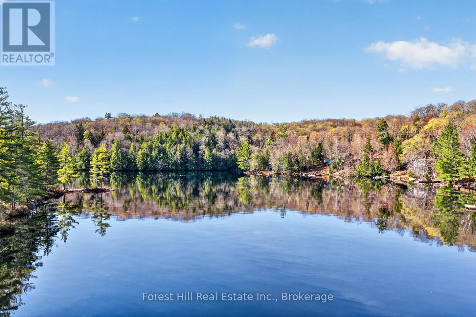 10835 Raven Lake West Shore Township Property Photo 9