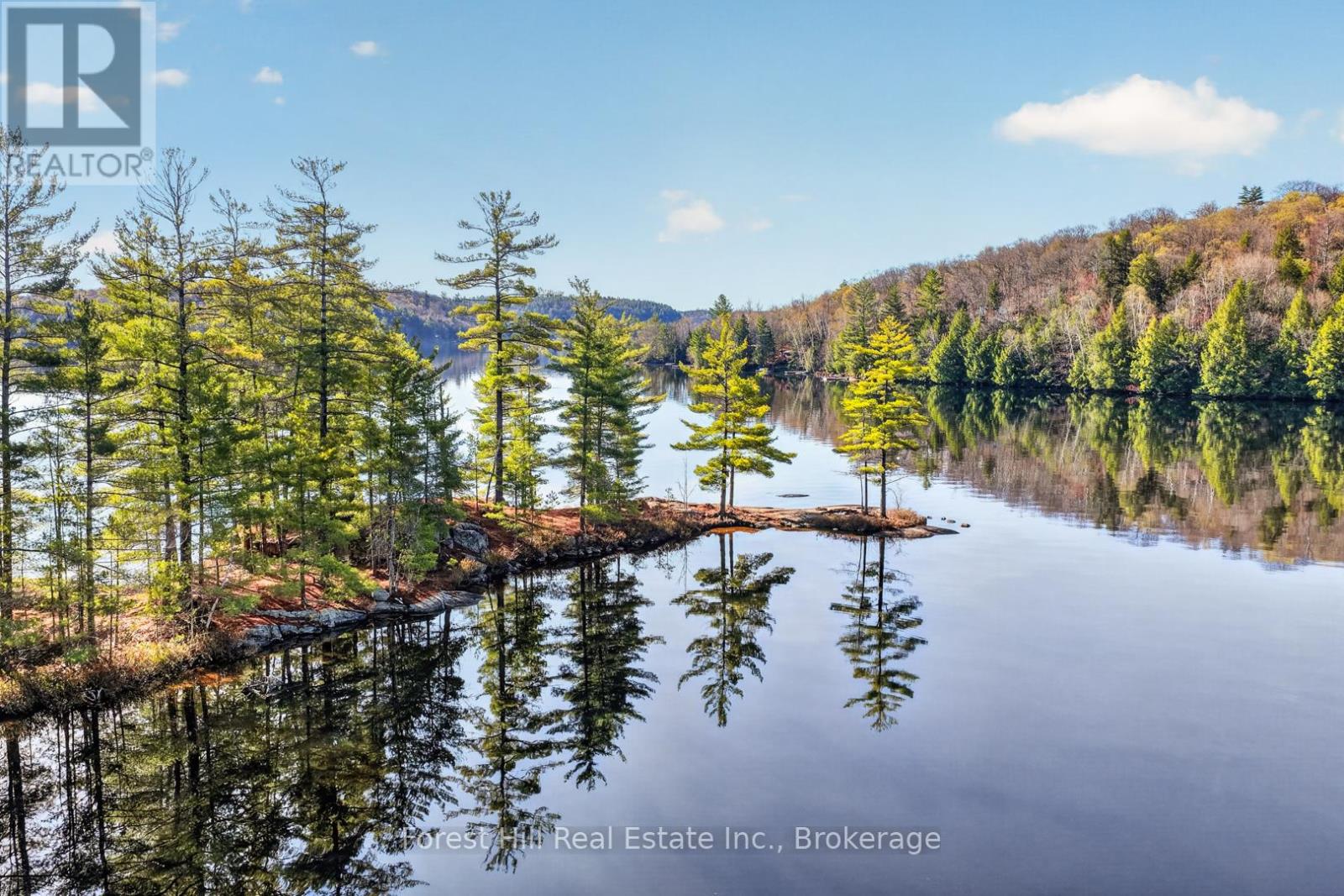 10835 Raven Lake West Shore Township Property Photo 10