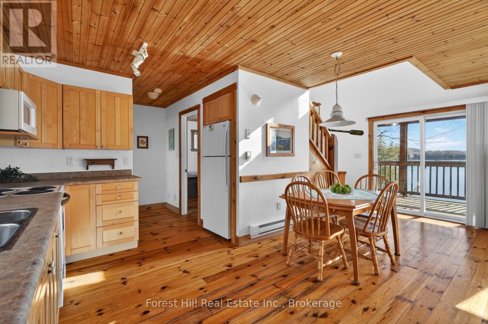 10835 Raven Lake West Shore Township Property Photo 38