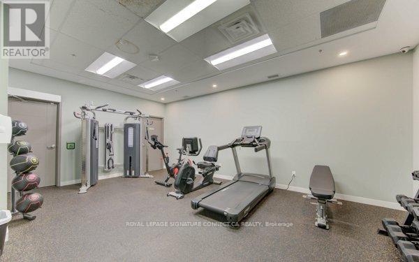 203 - 250 Albert Street Property Photo 29