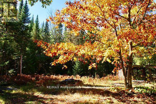 0 Mudcat Road Property Photo 17