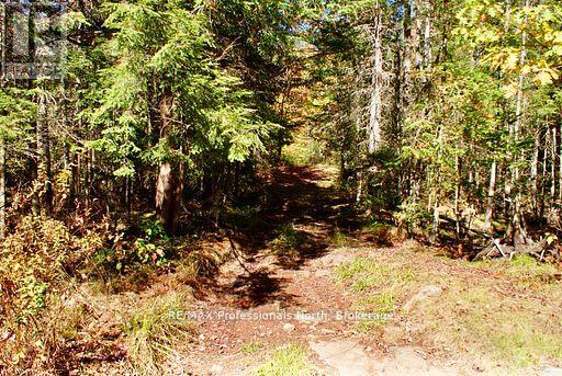 0 Mudcat Road Property Photo 25