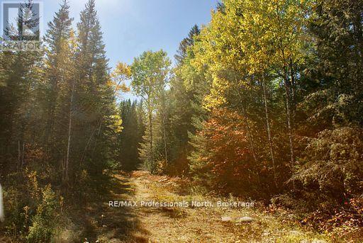 0 Mudcat Road Property Photo 26