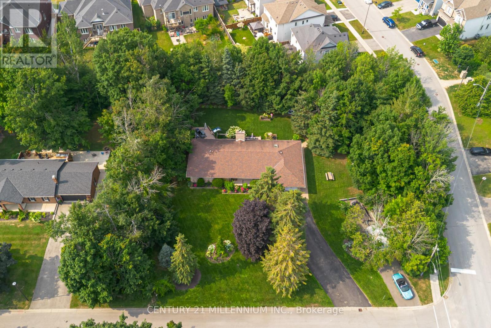 101 Birch Grove Property Photo 3