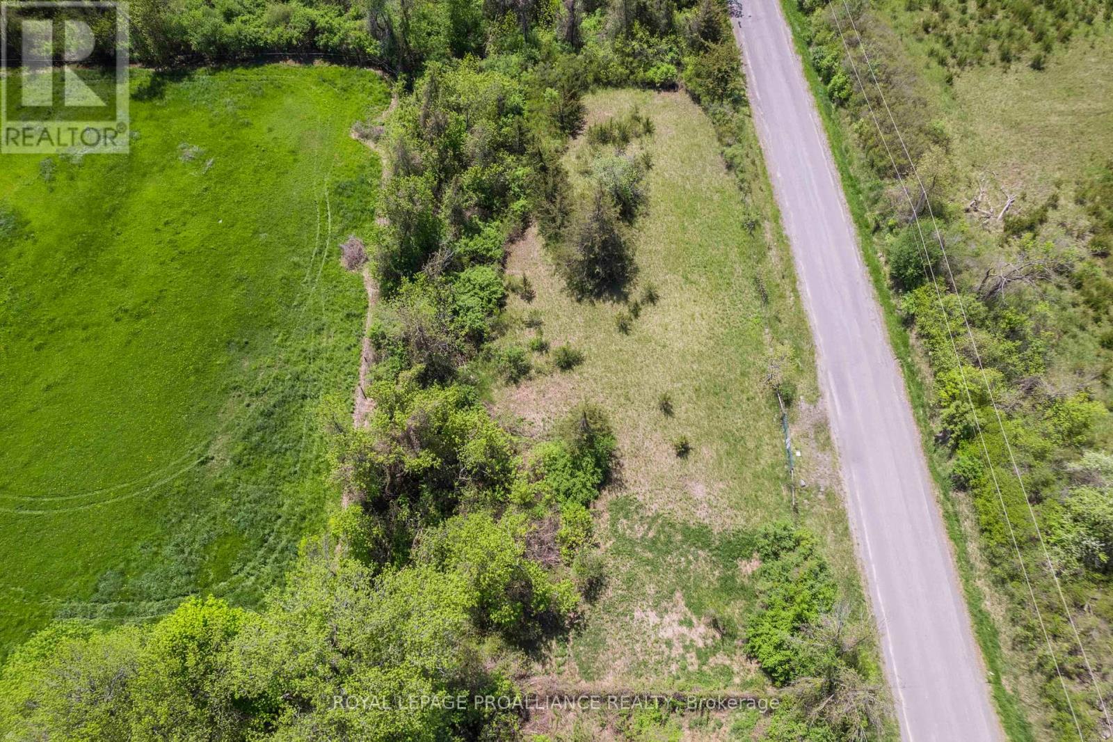 297 Zion Road Property Photo 6