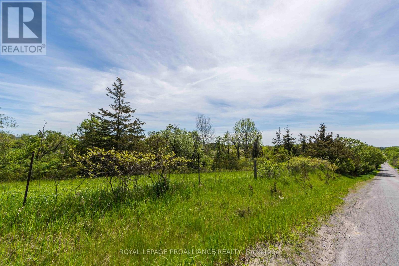 297 Zion Road Property Photo 7