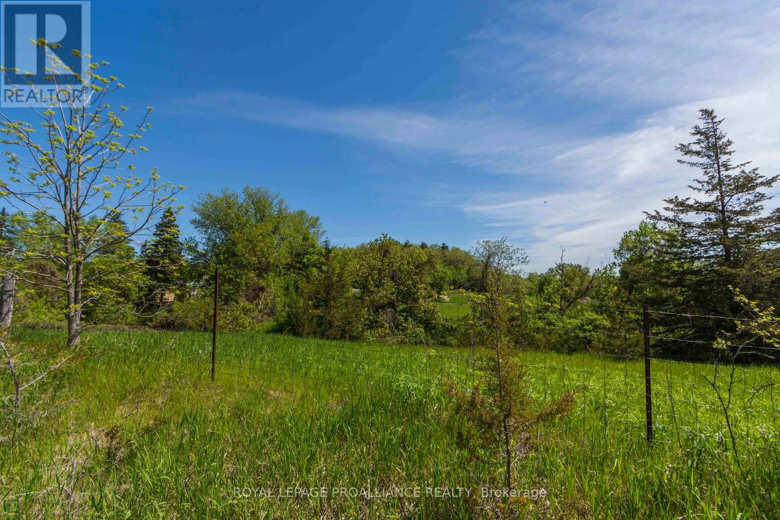 297 Zion Road Property Photo 8