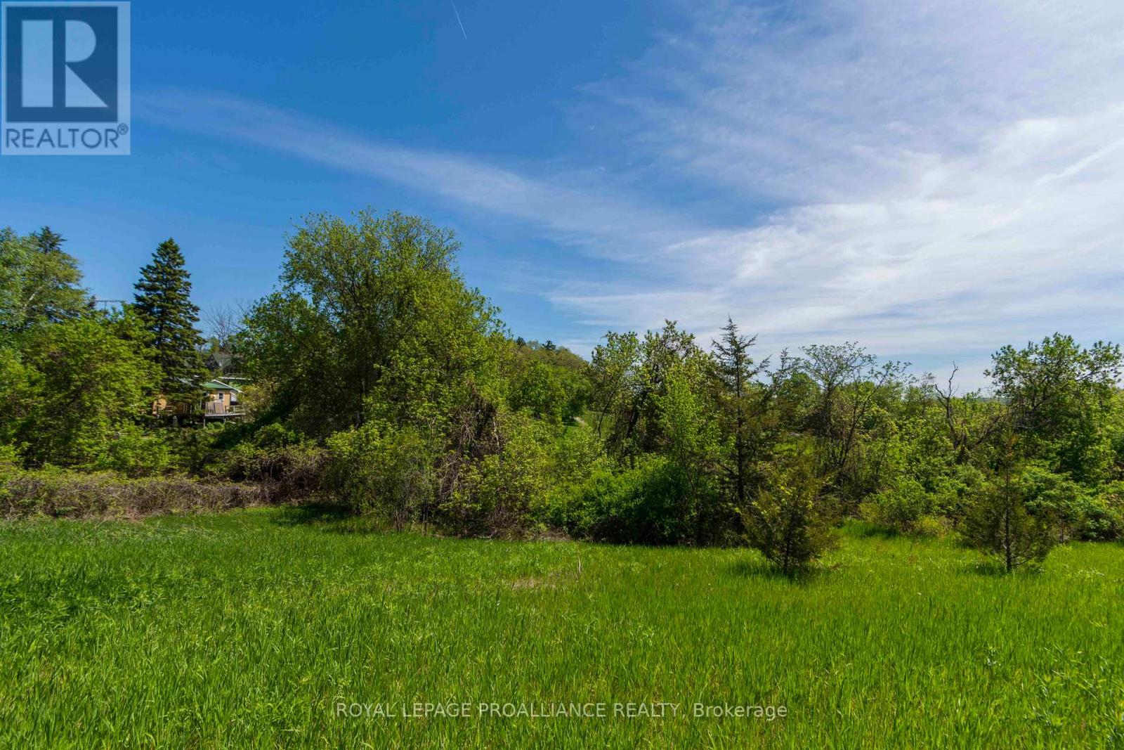 297 Zion Road Property Photo 10