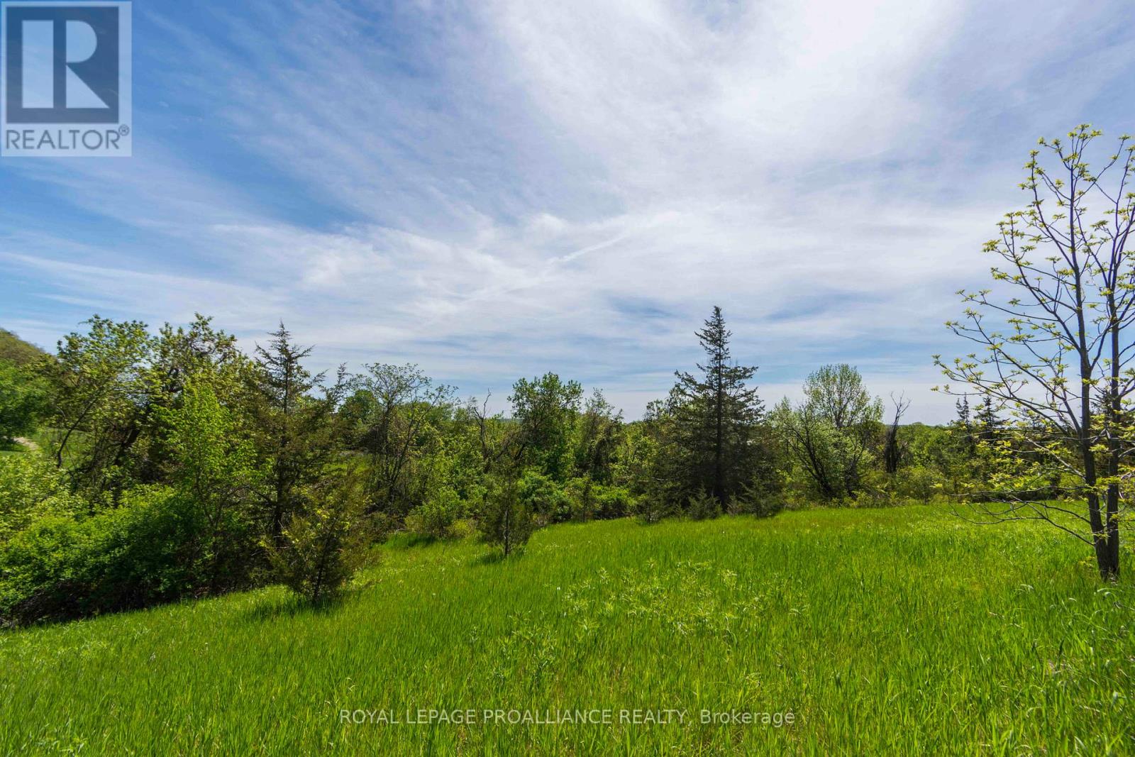 297 Zion Road Property Photo 11