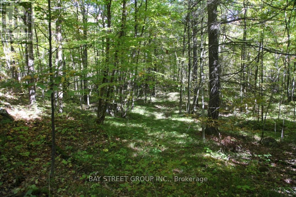 0 County Road 41 Road S Property Photo 3
