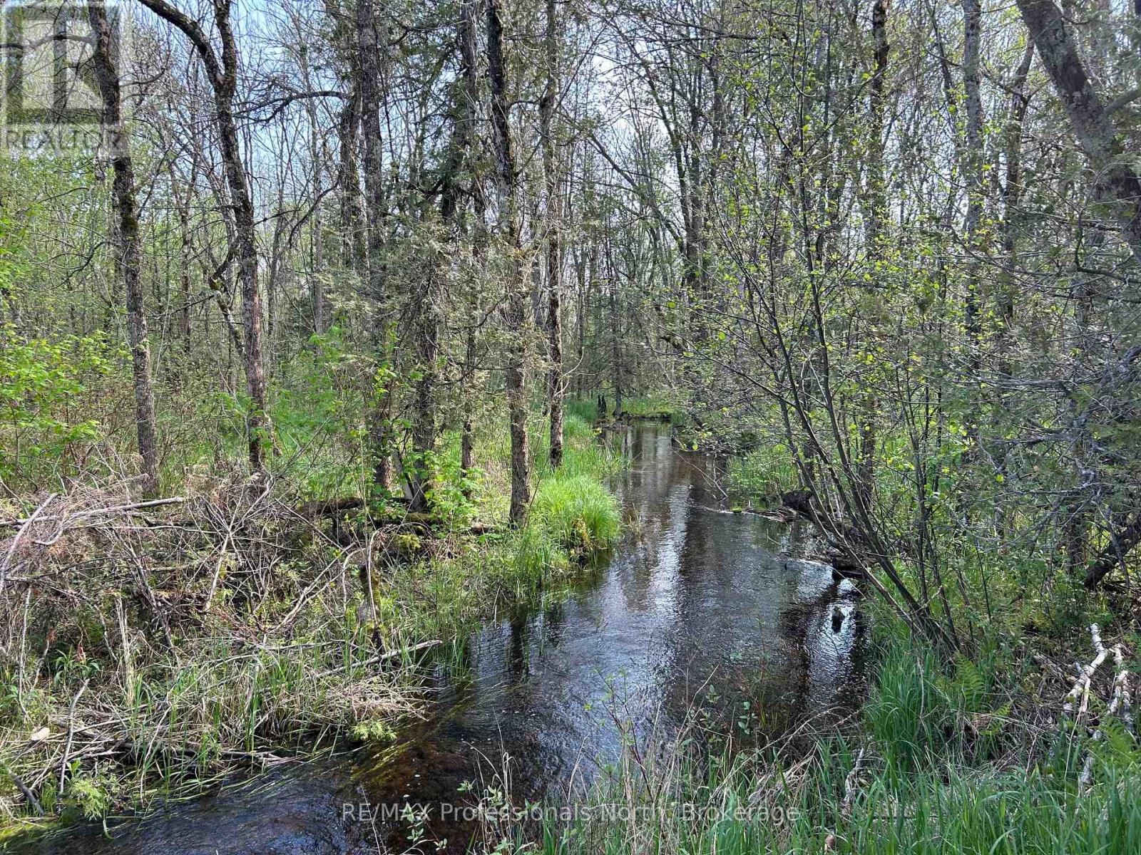810 4th Line Property Photo 7