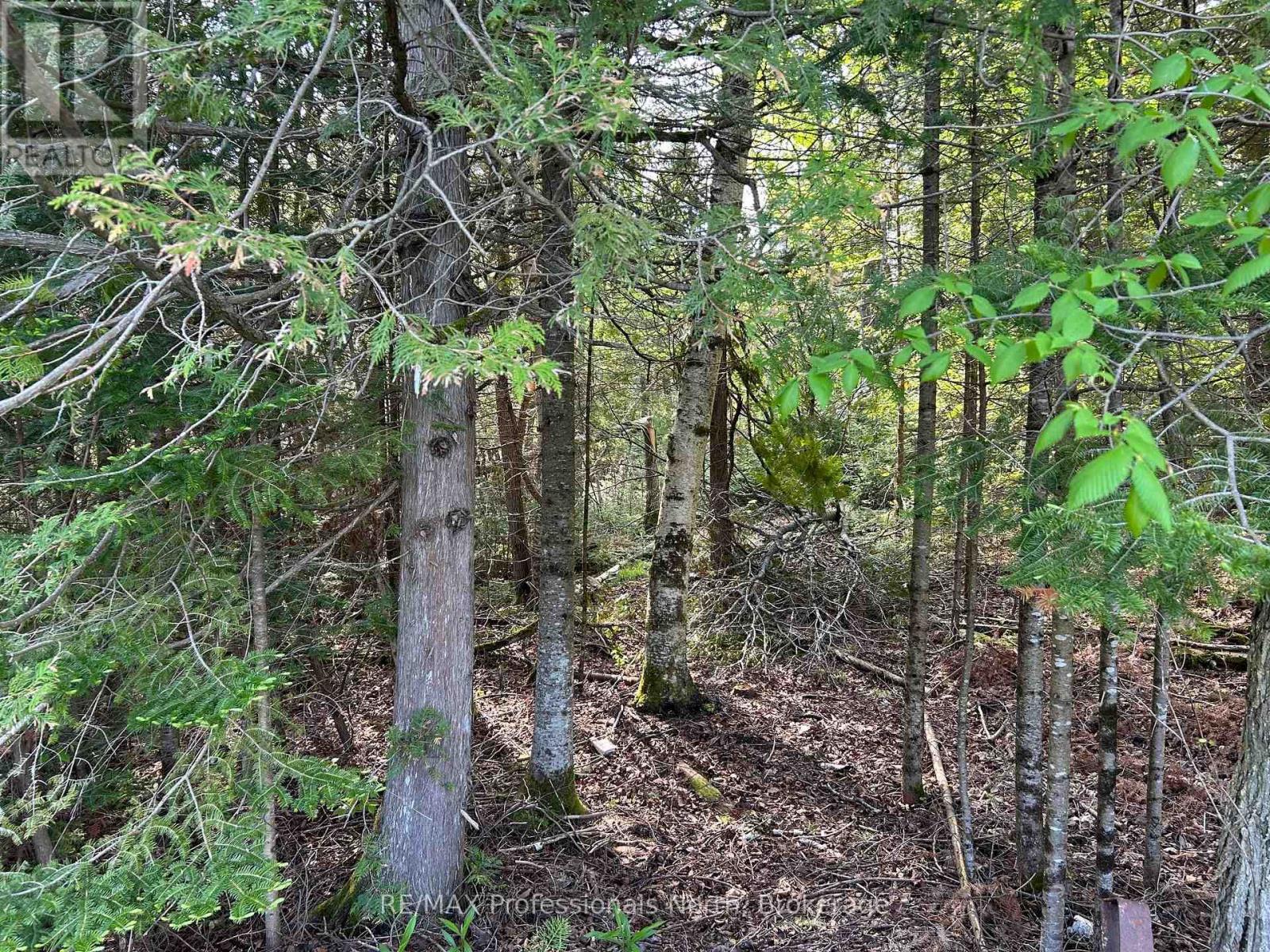 810 4th Line Property Photo 10