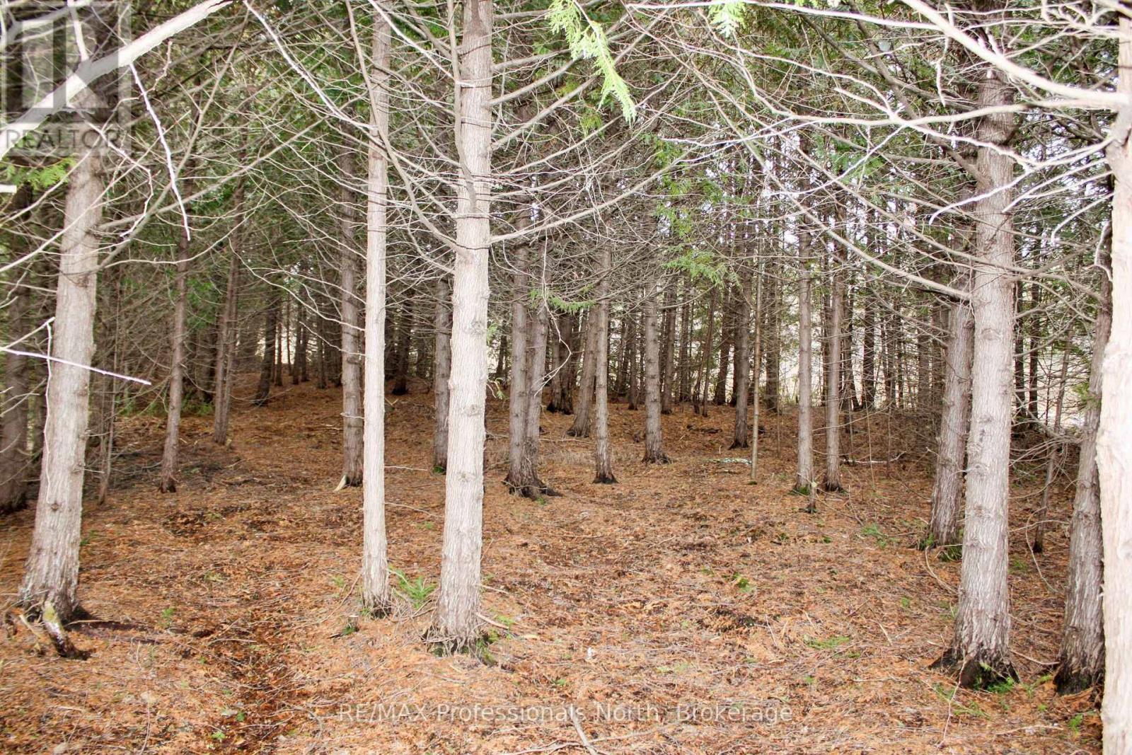 810 4th Line Property Photo 21