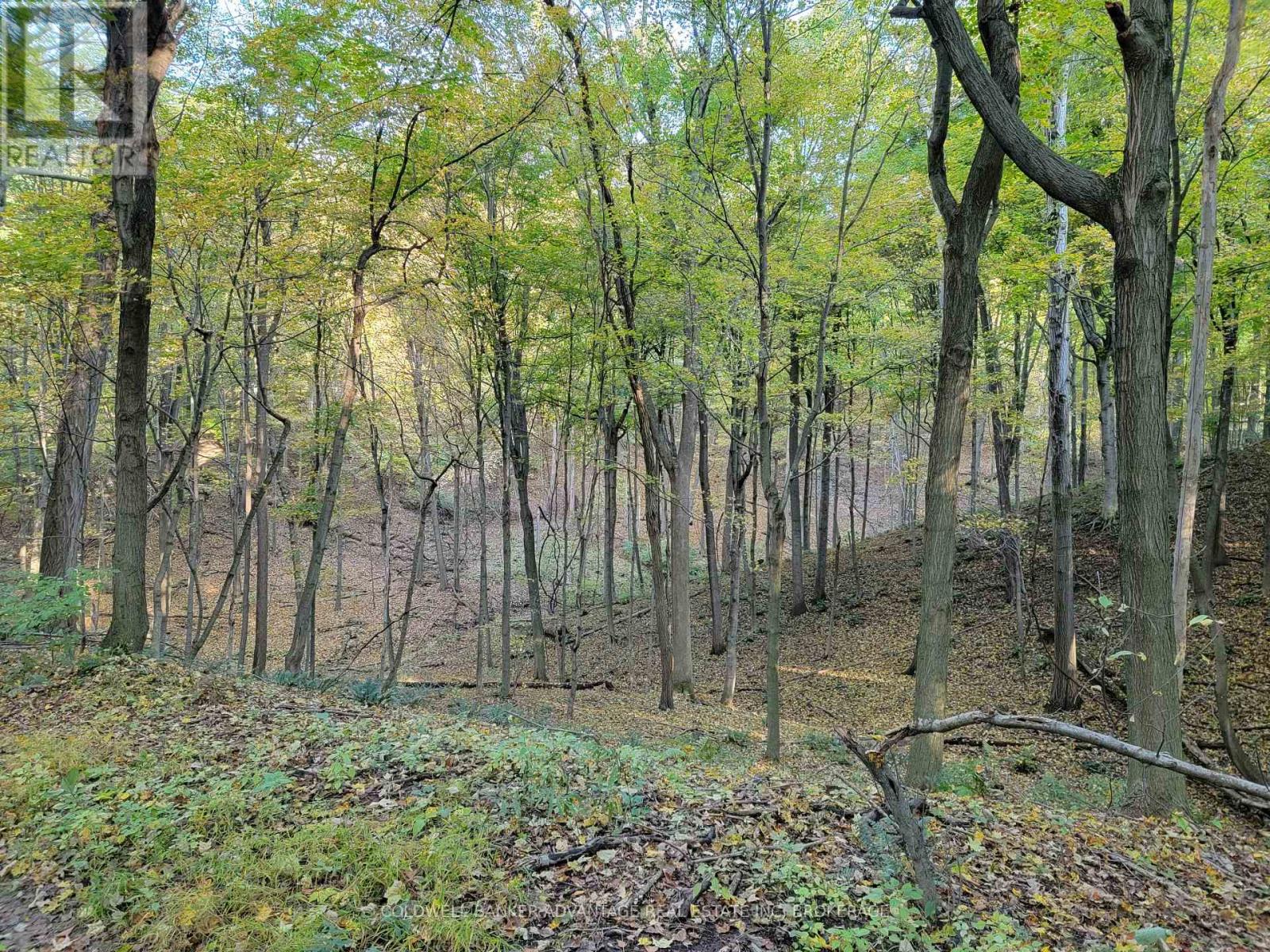 154&155 Lot Property Photo 4