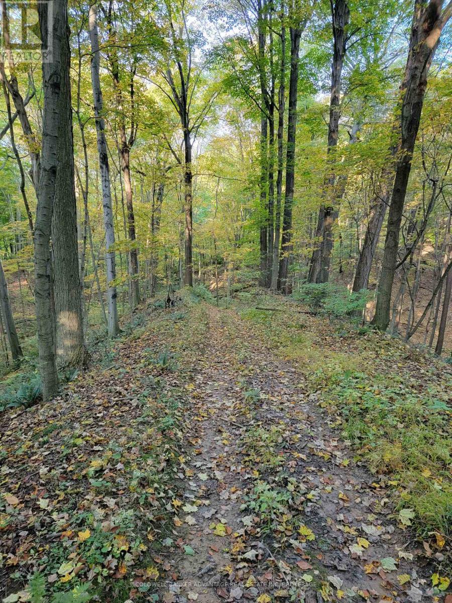 154&155 Lot Property Photo 5