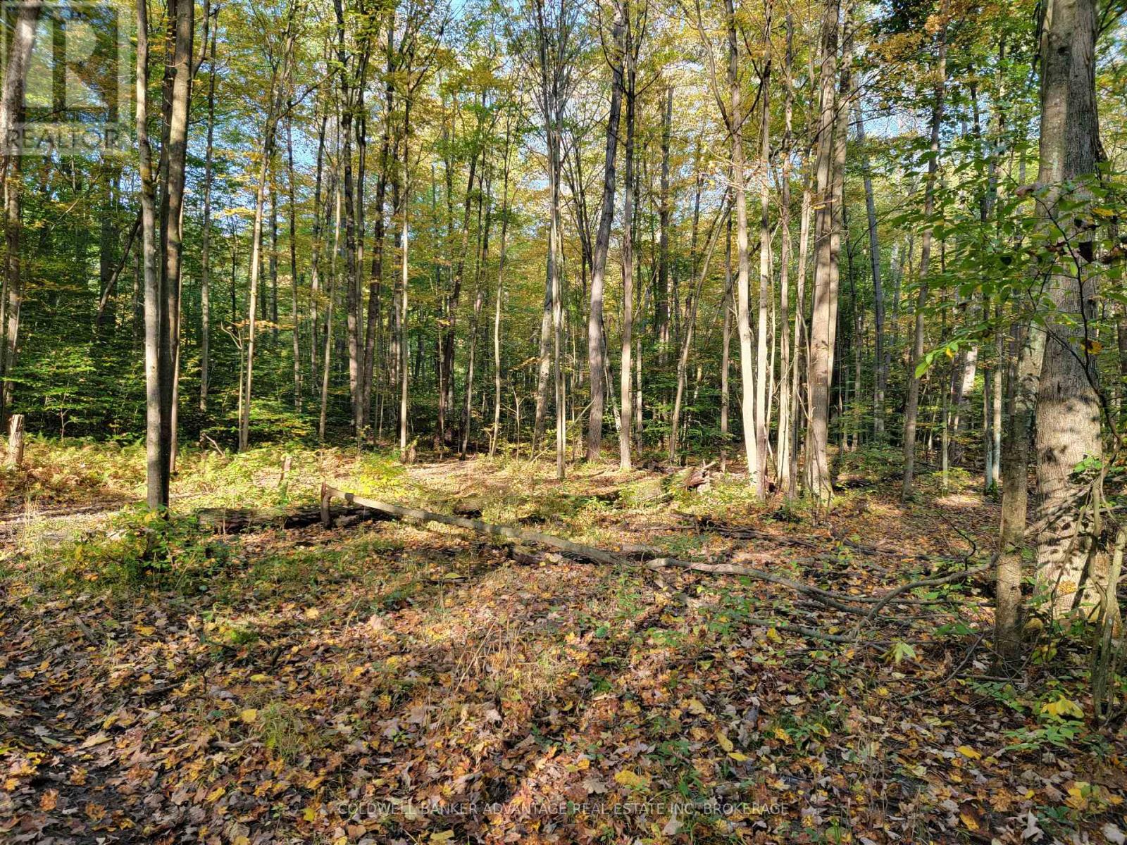 154&155 Lot Property Photo 7