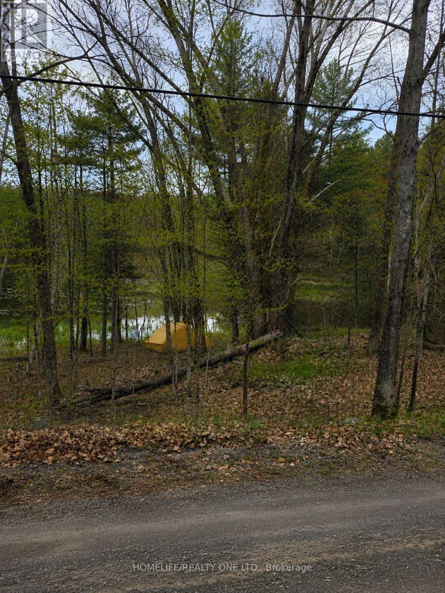 0 Village 1 Road Property Photo 4