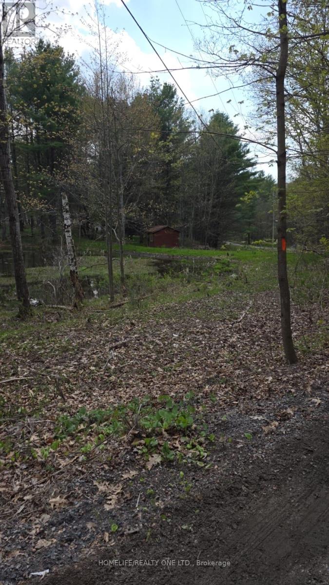 0 Village 1 Road Property Photo 17