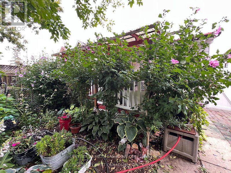 55 Linwood Street Property Photo 27