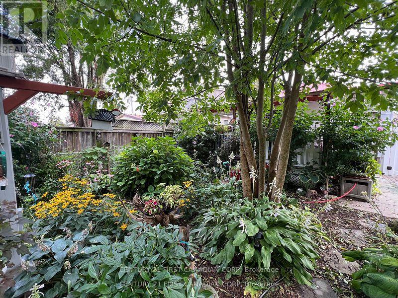 55 Linwood Street Property Photo 28