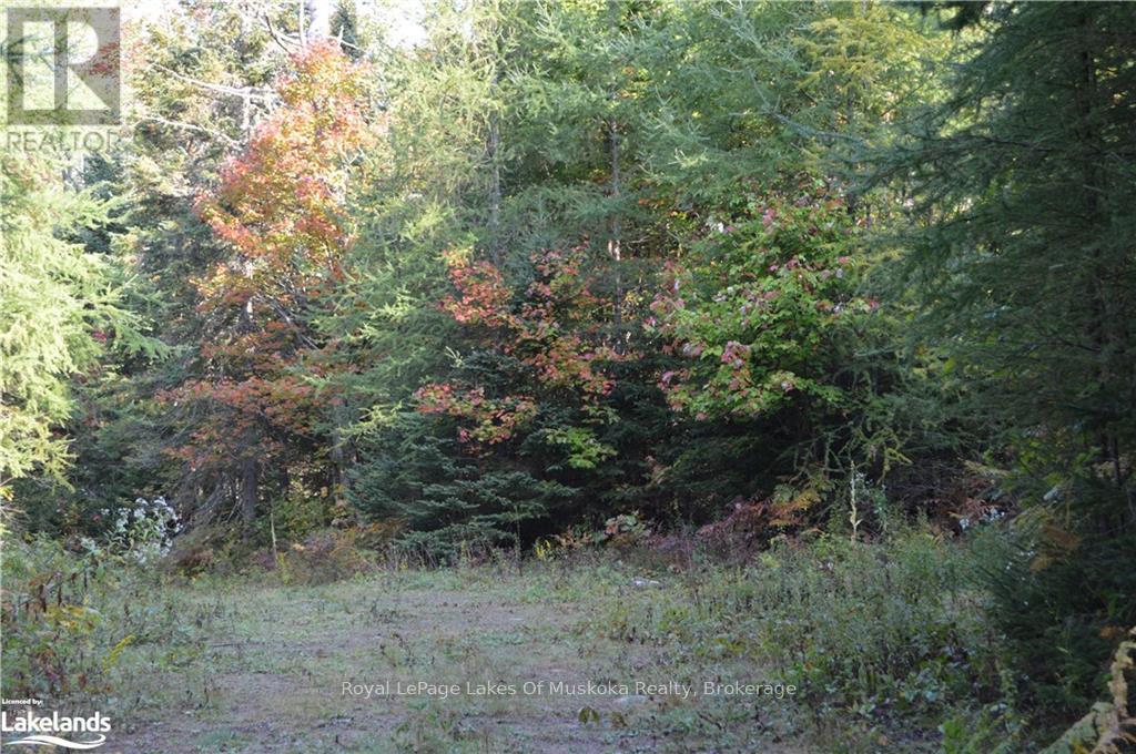 Lot 20 Concession 5 Road Property Photo 3