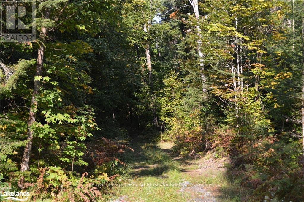 Lot 20 Concession 5 Road Property Photo 4