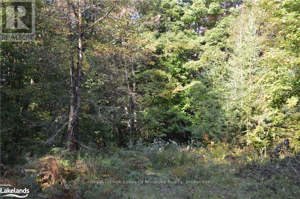 Lot 20 Concession 5 Road Property Photo 5