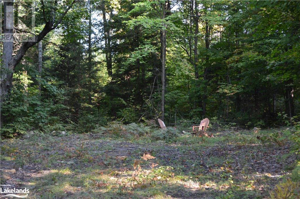 Lot 20 Concession 5 Road Property Photo 6