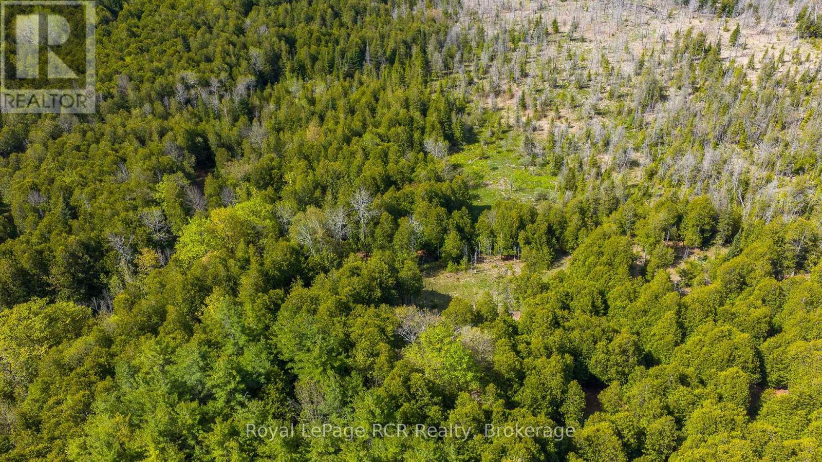 776318 Highway 10 Property Photo 38