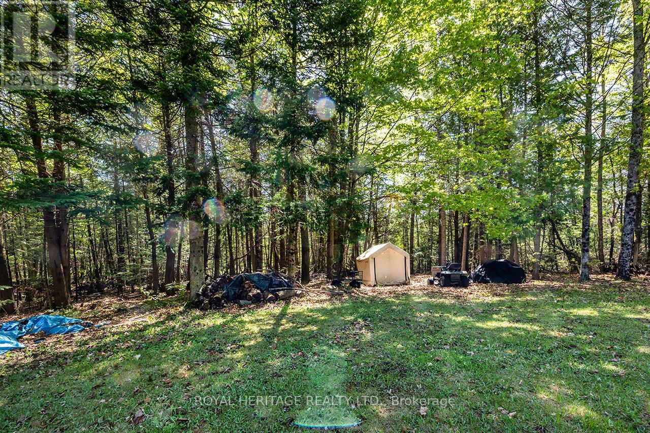 538 Spry Road Property Photo 38