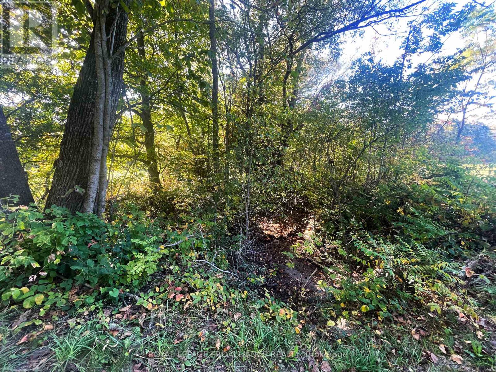 Lot C - 00 Jamieson Road N Property Photo 5
