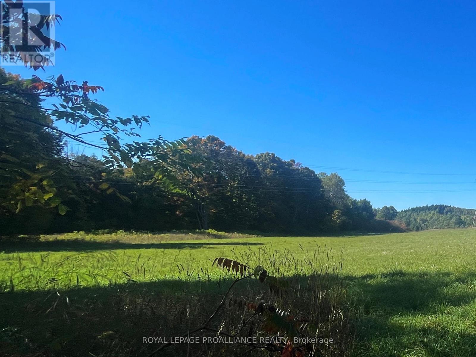 Lot C - 00 Jamieson Road N Property Photo 6