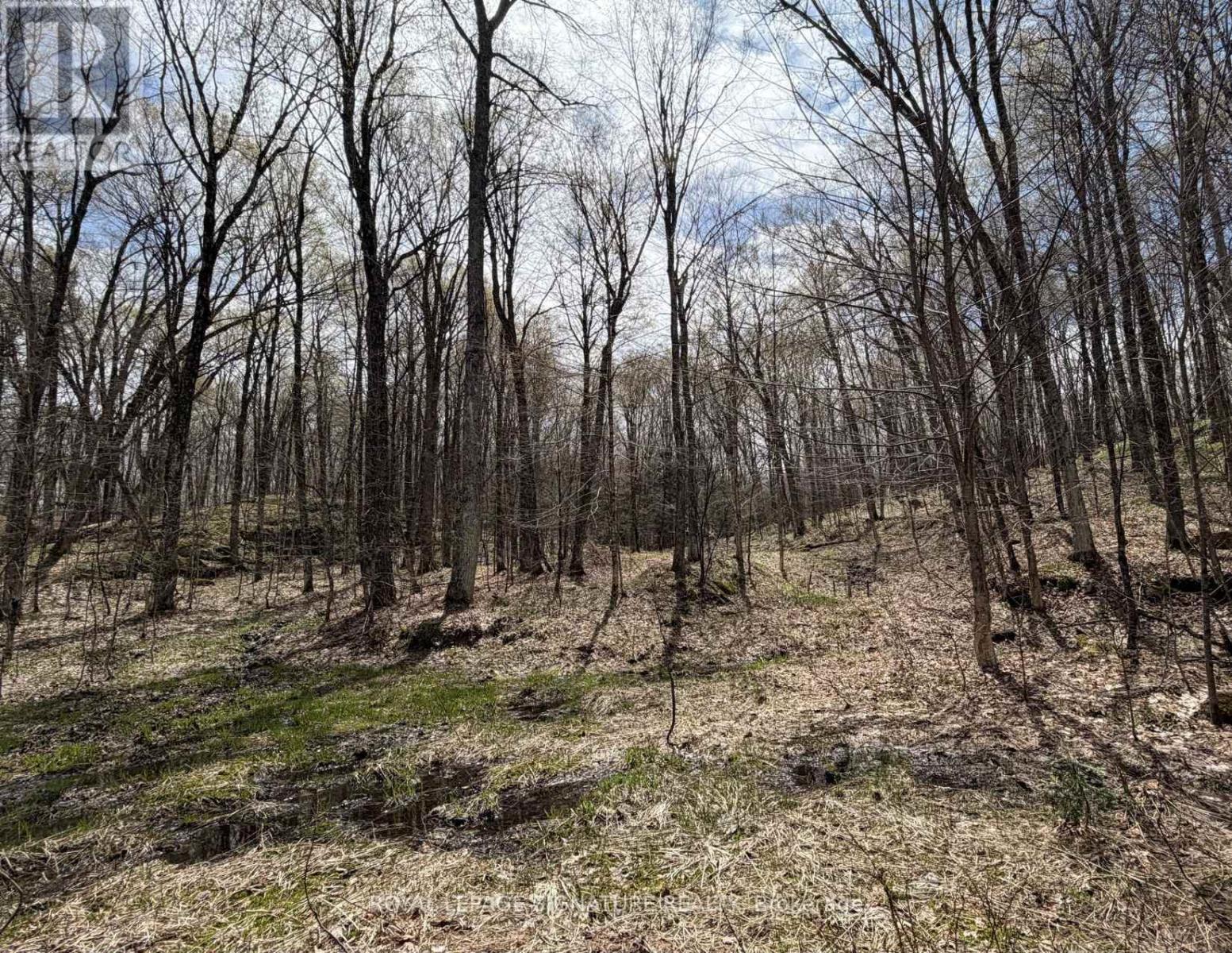 1170 Peter Road Property Photo 13