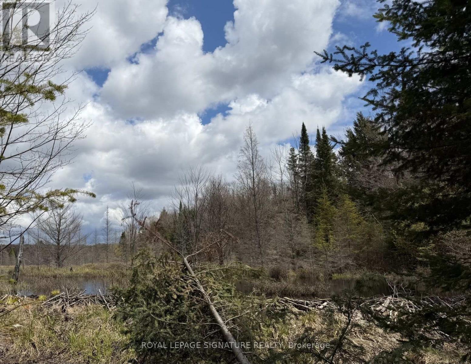1170 Peter Road Property Photo 23