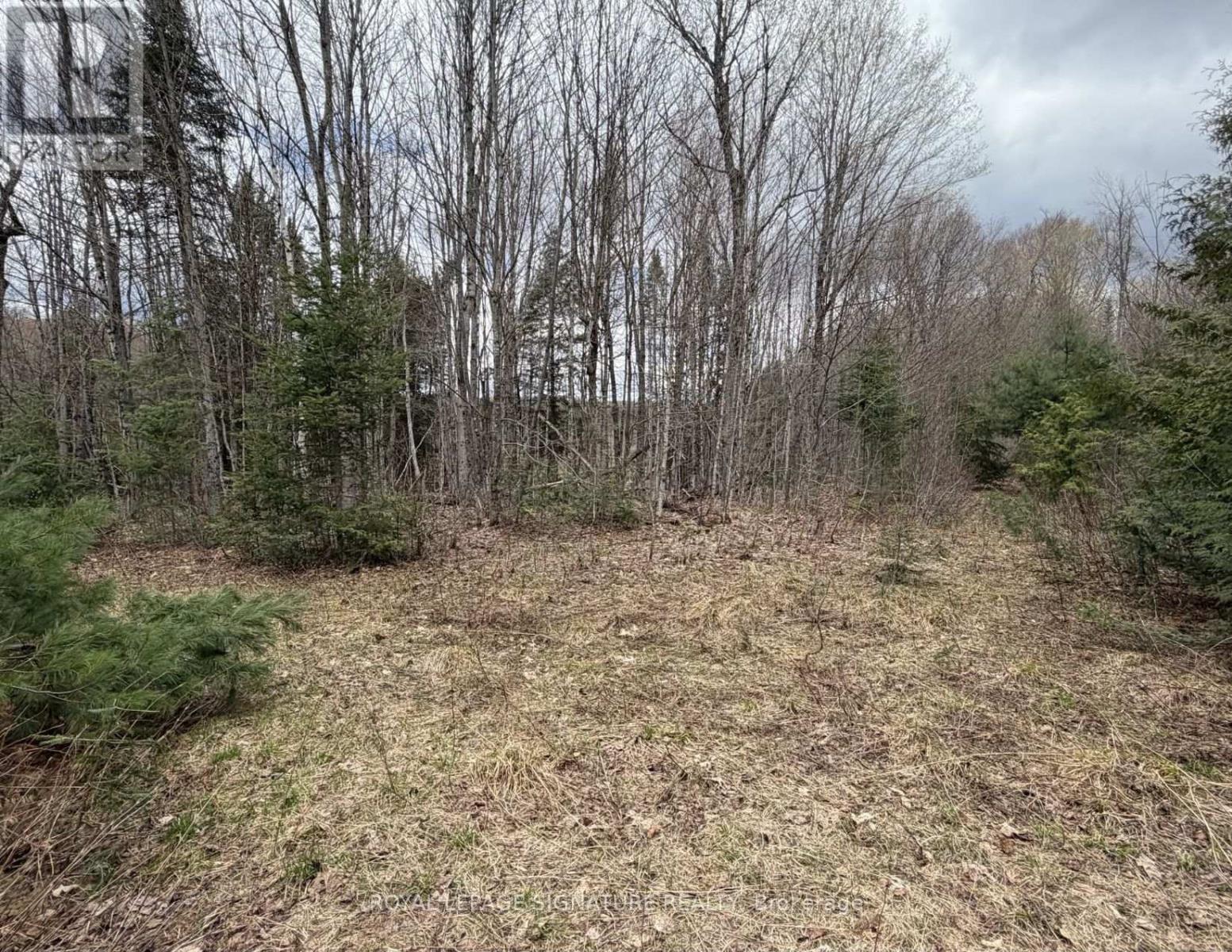 1170 Peter Road Property Photo 25