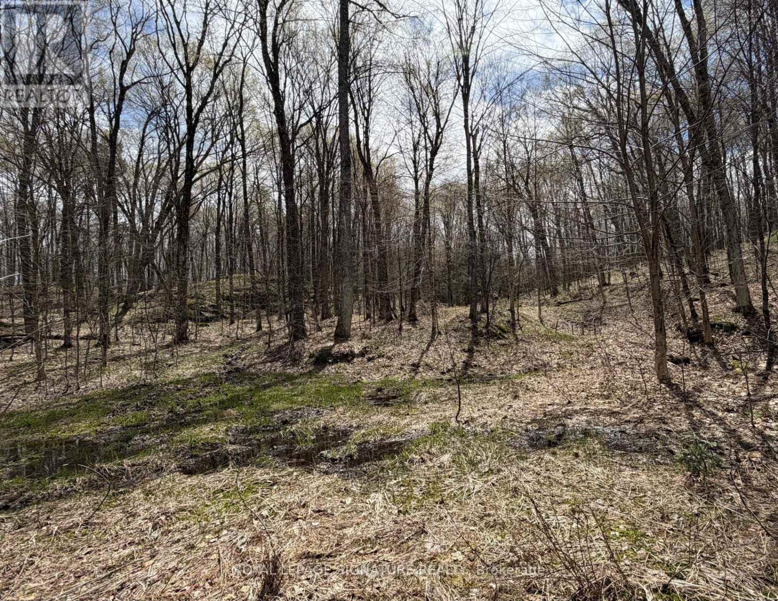 1170 Peter Road Property Photo 36