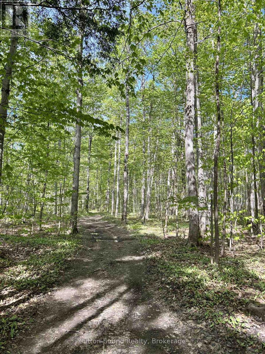 Lot 24 Concession 14 Keppel Concession Property Photo 8
